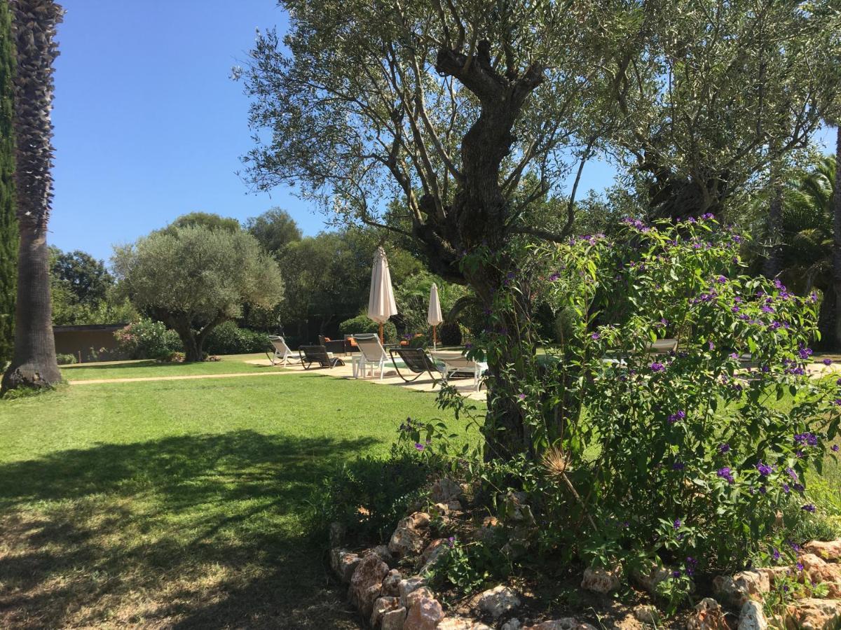 Clos Des Vignes Pampelonne Vineyard Ramatuelle Buitenkant foto