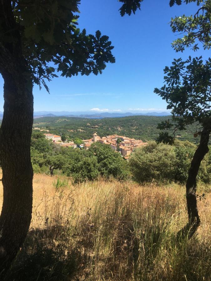 Clos Des Vignes Pampelonne Vineyard Ramatuelle Buitenkant foto